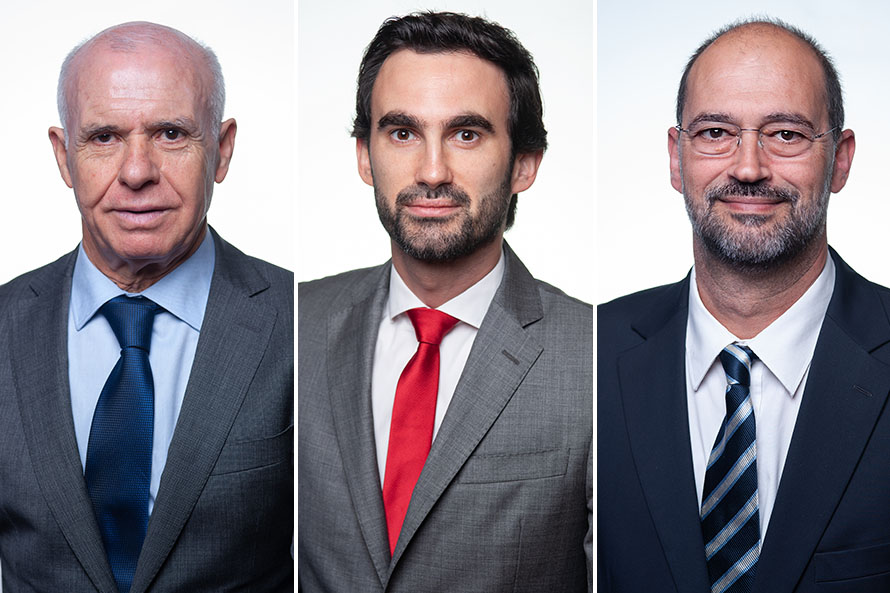 HOMENS PARLAMENTARES SOCIALISTAS CONTRA A VIOLÊNCIA DOMÉSTICA