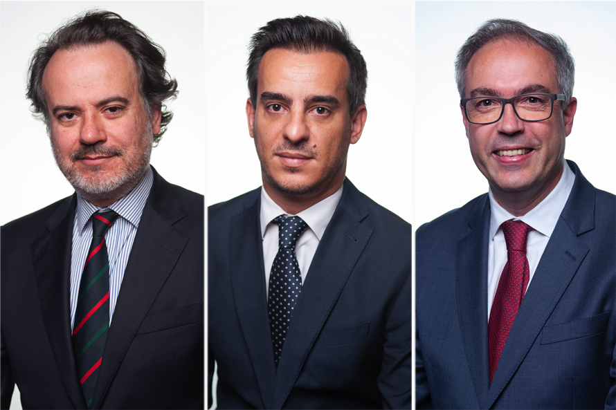 HOMENS PARLAMENTARES SOCIALISTAS CONTRA A VIOLÊNCIA DOMÉSTICA