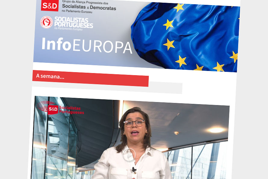 NEWSLETTER SEMANAL