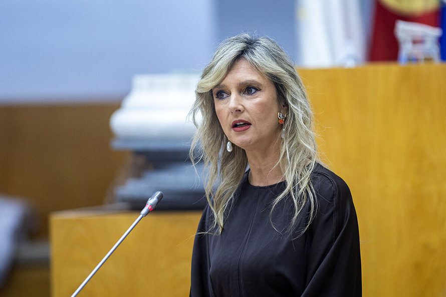 Aprovada proposta do Partido Socialista que promove integração responsável de imigrantes e reforça a economia regional