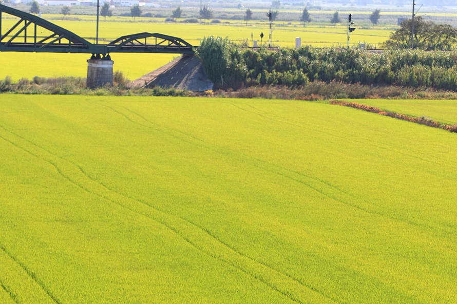 PS pede audição urgente do ministro da Agricultura por “pressão ilegítima” sobre entidades ambientais