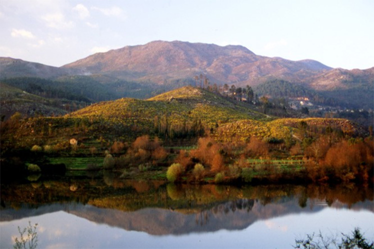 PARQUE NACIONAL DA PENEDA-GERÊS SERÁ EXEMPLO DE GESTÃO DA FLORESTA