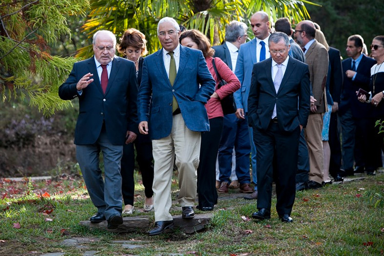 Reforma da floresta com mais de 600 contributos