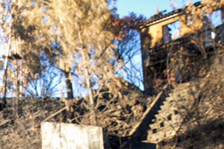 688 milhões em medidas para fazer face aos incêndios