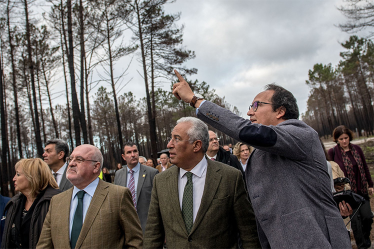 Primeiro-ministro e membros do Governo participam em ação de limpeza florestal