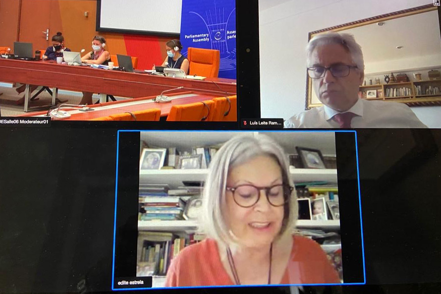 Edite Estrela alerta Conselho da Europa para urgência da crise climática