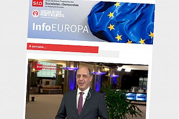 NEWSLETTER SEMANAL