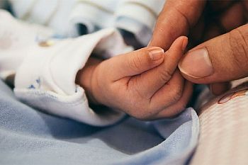Balcões Nascer Cidadão reabrem nas maternidades