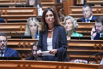 Bloqueio na regulamentação da gestação de substituição cria desespero em casais que querem constituir família