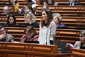 É urgente robustecer respeito pelos valores constitucionais para combater degradação do regime democrático