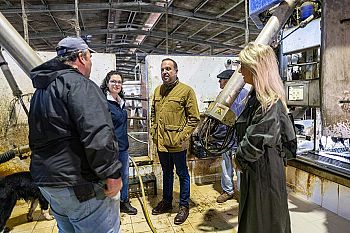 PS propõe mudanças no OE para garantir apoios agrícolas e manutenção do fim dos rateios