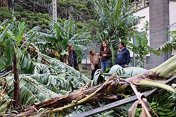 PS exige “apoios rápidos e sem complicações” para os agricultores afetados pelo mau tempo