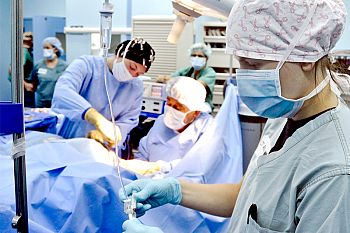 PS pede audição urgente de diretor executivo do SNS sobre atividade assistencial em 2026