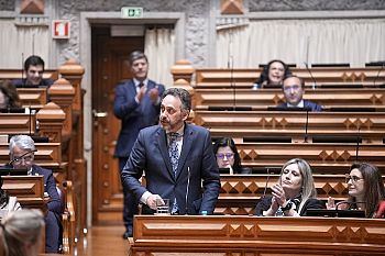 PS critica imprudência do Governo ao extinguir FCT