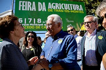 Inconsistência do PSD em matérias estruturantes é de “enorme perplexidade” para o país