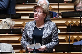 Governo tem valorizado a profissão de docente