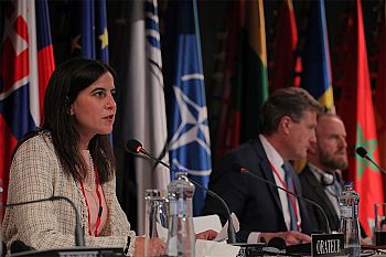 Lara Martinho apresenta relatório sobre cooperação e desafios de segurança da NATO