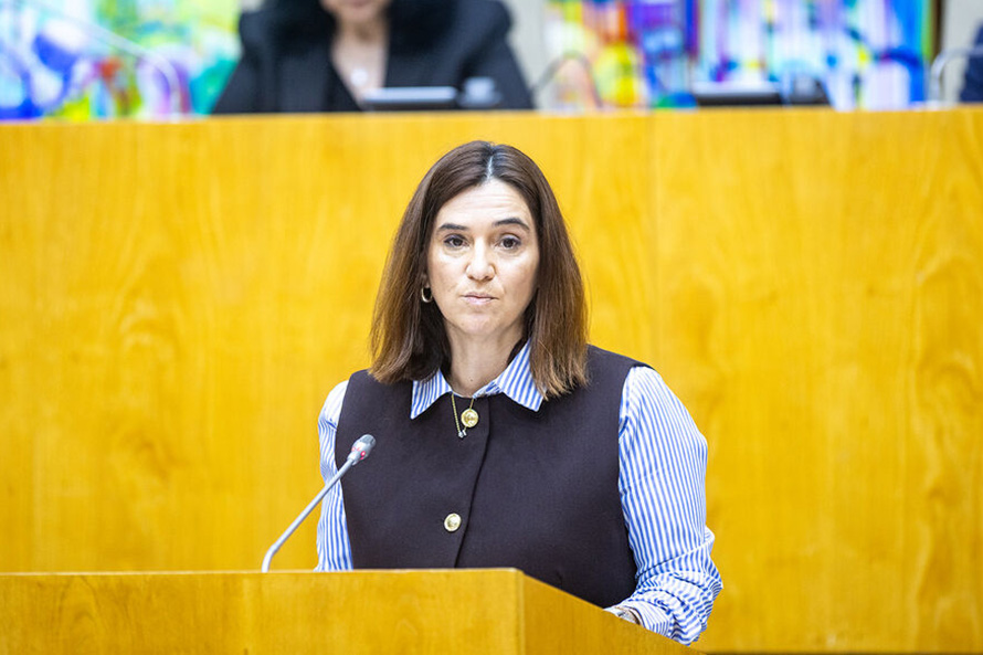 Revisão da Lei das Finanças Locais deve garantir mais competências aos municípios açorianos