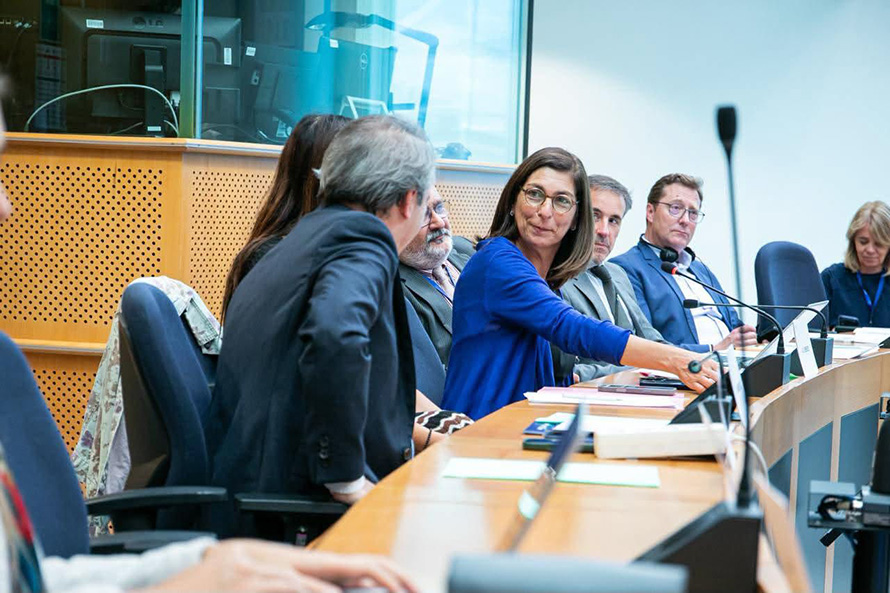 Ana Catarina Mendes lidera delegação do PE em missão de observação eleitoral