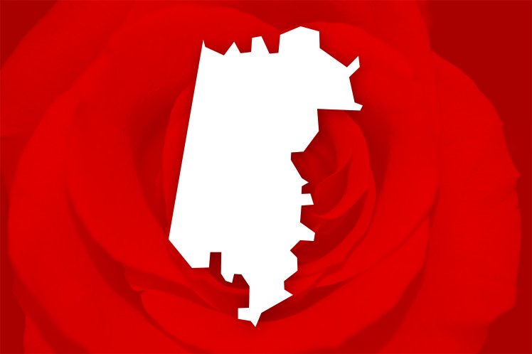 Os candidatos no distrito de Aveiro