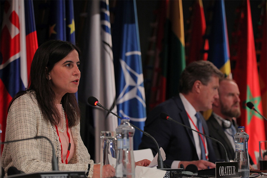 Lara Martinho apresenta relatório sobre cooperação e desafios de segurança da NATO
