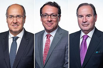HOMENS PARLAMENTARES SOCIALISTAS CONTRA A VIOLÊNCIA DOMÉSTICA