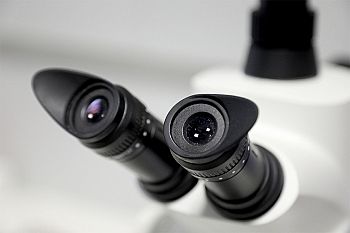 PS promove Audição Pública sobre o Financiamento dos Laboratórios Colaborativos e dos Centros de Tecnologia e Inovação