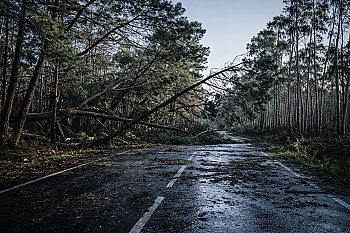 PS quer ouvir com urgência o setor segurador sobre as respostas às tempestades