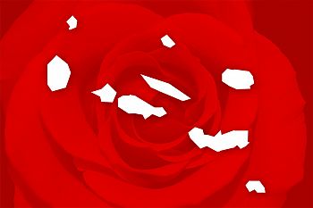 Conheça os candidatos dos Açores